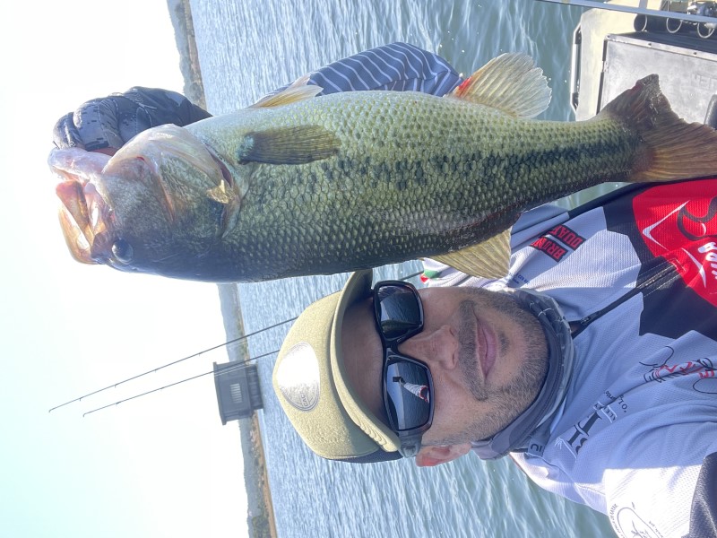 Fish Profile Picture