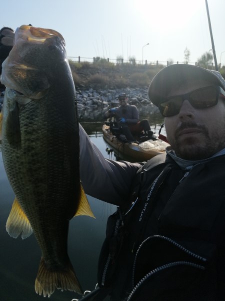 Fish Profile Picture