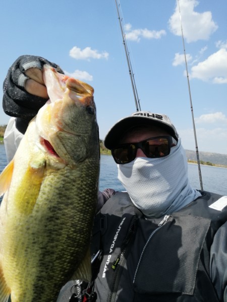 Fish Profile Picture