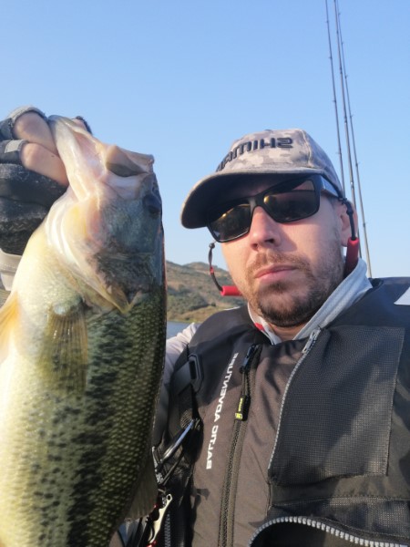 Fish Profile Picture