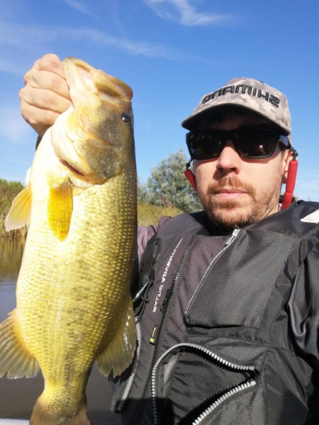 Fish Profile Picture